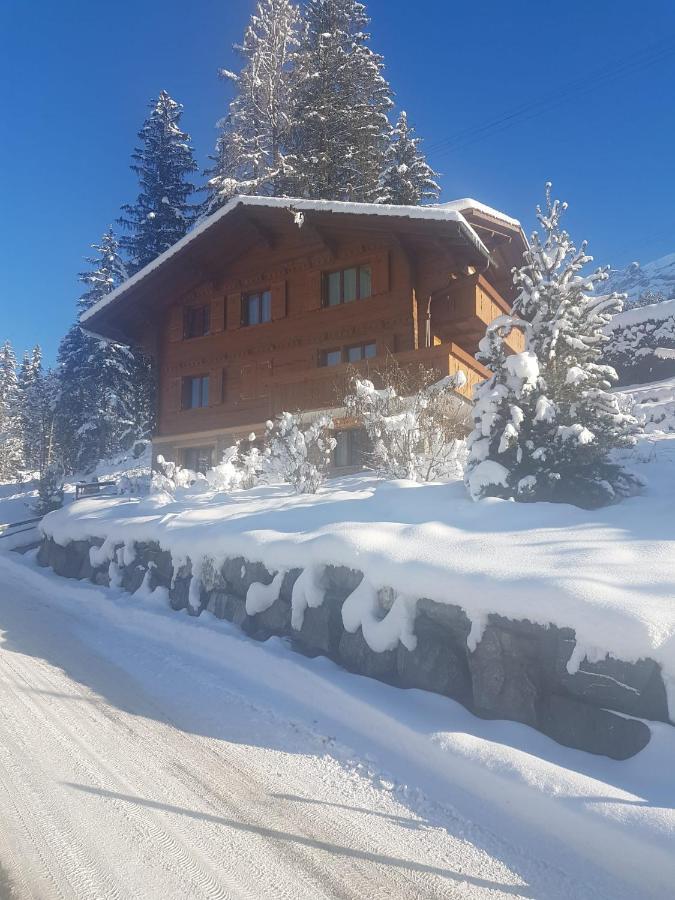 Chalet Grueneggli Adelboden Extérieur photo